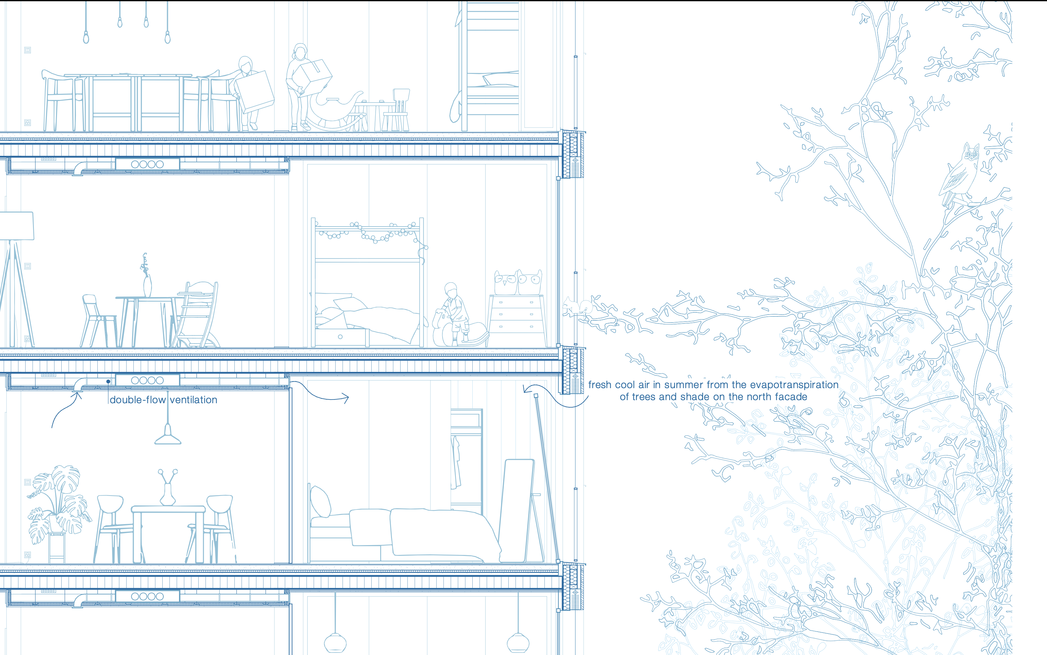 zoom-section-view-cad-drawing-detailled-lively-appartment-facing-trees-blue-lines