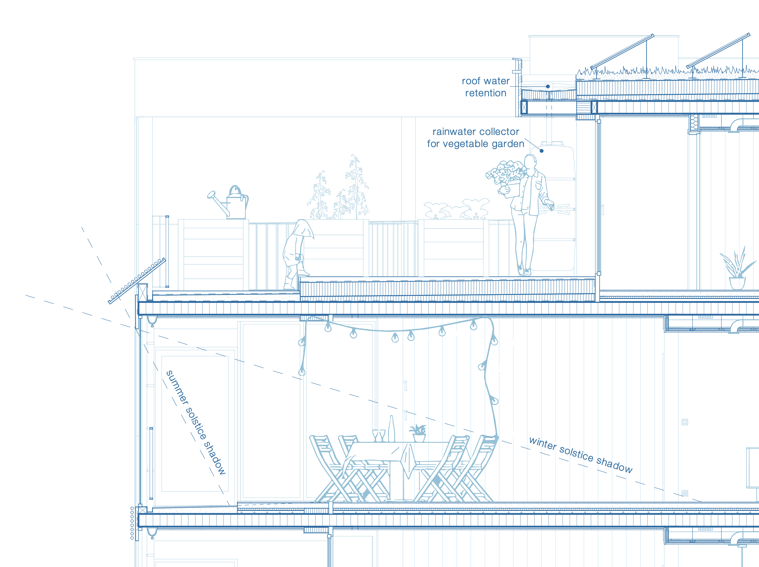zoom-section-view-cad-drawing-detailled-lively-rooftop-gardening