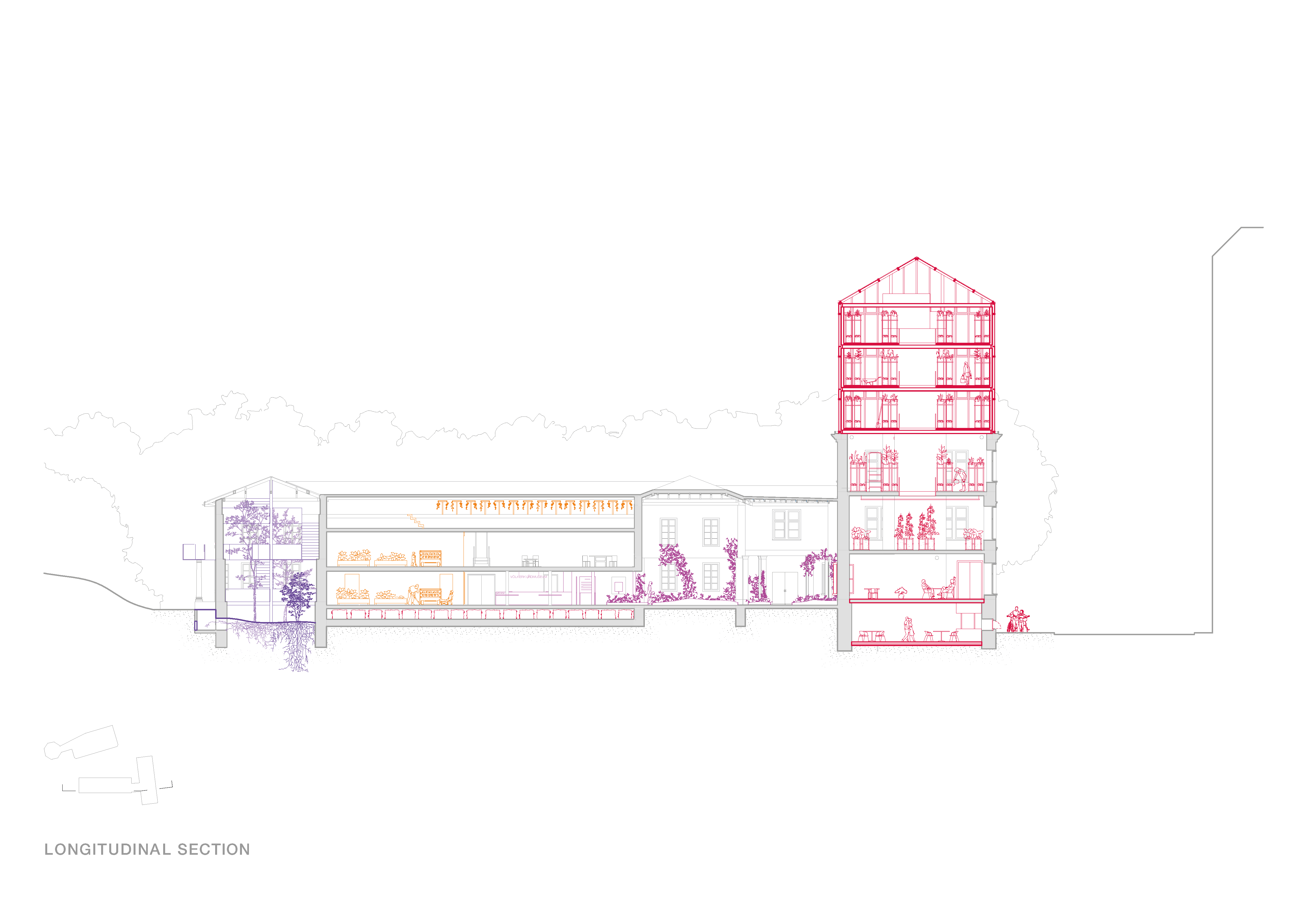 section-drawing-2d-view-architectural-renovation-existing-building-cad
