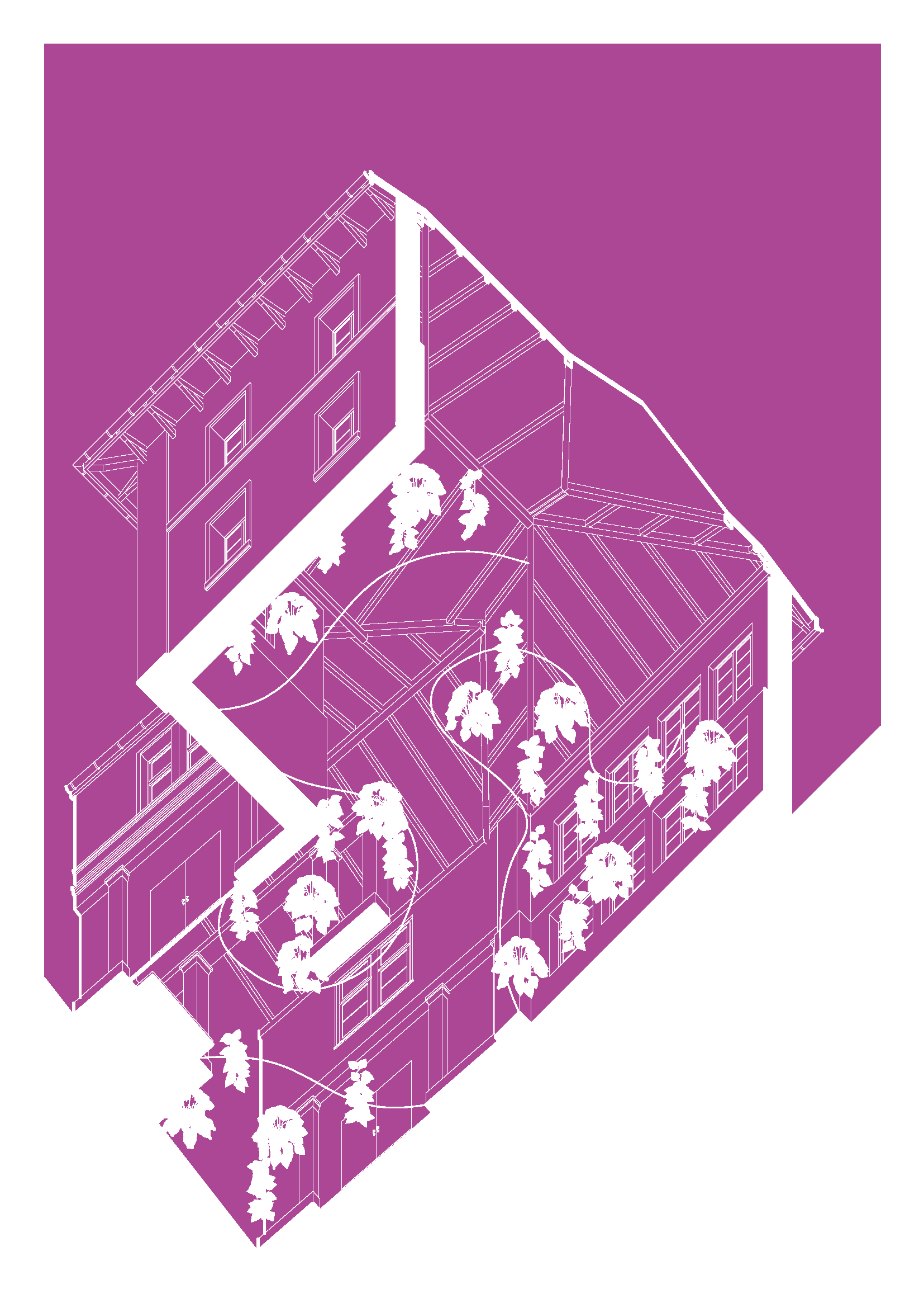 axonometric-drawing-architectural-intervention-project-illustration-cad-illustrator
